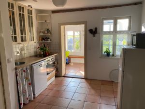 Bild 14: Urlaub mit Hund an der Ostsee