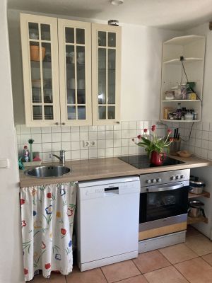 Bild 15: Urlaub mit Hund an der Ostsee