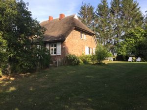 Bild 7: Urlaub mit Hund an der Ostsee