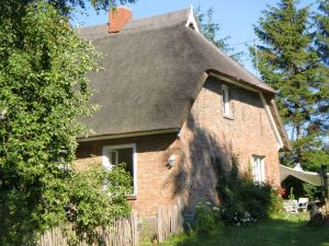 Bild 8: Urlaub mit Hund an der Ostsee