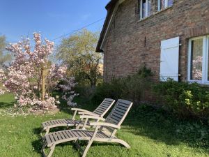 Bild 5: Urlaub mit Hund an der Ostsee