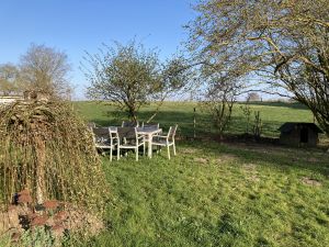 Bild 4: Urlaub mit Hund an der Ostsee