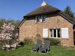 Bild 6: Urlaub mit Hund an der Ostsee