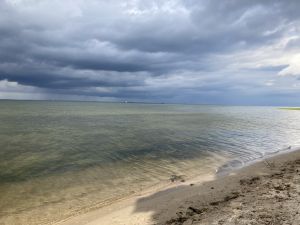 Bild 19: Urlaub mit Hund an der Ostsee
