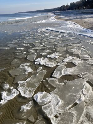 Bild 22: Urlaub mit Hund an der Ostsee