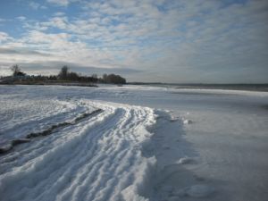Bild 16: Urlaub mit Hund an der Ostsee