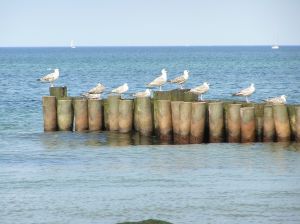 Bild 16: Ferienwohnung Nr. 3 Parkstraße 2