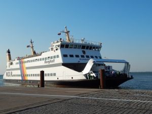 Bild 19: Ferienhaus "Hörn", Urlaub mit Hund, Zaun, Kamin, - 5 P, Nordsee