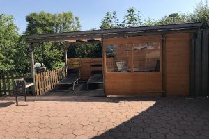 Sturm ist Wind, der es eilig hat... - Bild 17: Huus-Thimo an der Nordseeküste - Hunde willkommen - rauchen erlaubt - WLAN