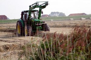 Bild 41: Huus-Thimo an der Nordseeküste - Hunde willkommen - rauchen erlaubt - WLAN
