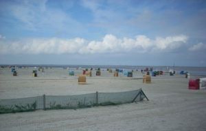 zu jeder Jahreszeit schön - Bild 35: Huus-Thimo an der Nordseeküste - Hunde willkommen - rauchen erlaubt - WLAN