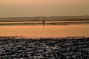 auch bei untergehender Sonne zu empfehlen - Bild 37: Huus-Thimo an der Nordseeküste - Hunde willkommen - rauchen erlaubt - WLAN