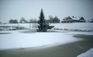 schwimmender Tannenbaum, einfach toll - Bild 42: Huus-Thimo an der Nordseeküste - Hunde willkommen - rauchen erlaubt - WLAN