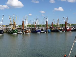 Bild 25: Norddeich EG-Ferienwohnung bis 3 Personen und Hund WLAN strandnah