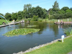 Bild 24: Norddeich EG-Ferienwohnung bis 3 Personen und Hund WLAN strandnah