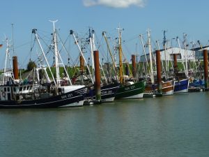 Bild 23: Norddeich Ferienwohnung "Jolle" bis 4 Personen+Hund 2 Schlafzimmer WLAN