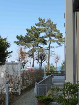Blick von der Haustür zur Ostsee - Bild 10: Appartement Strandpromenade - direkt am Strand