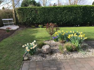 Bild 21: Charmantes Ferienhaus "Beveland Cottage", privater Garten, am Veerse Meer