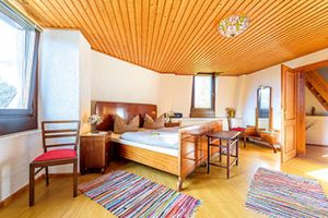 Bild 9: Mühle in Alleinlage mit eingez. Garten auf Rügen für Urlaub mit dem Hund