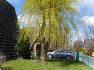 Bild 14: Haus Heidemarie mit eingezäunten Garten, Nordseeküste für Urlaub mit Hund