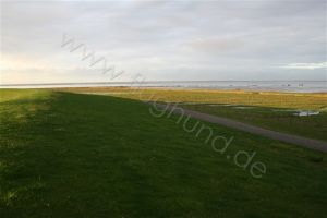 Bild 6: Ferienhaus Elke mit abgeschlossenen Garten für Urlaub mit dem Hund