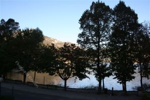 Bild 23: Villa Nini mit eingez. Garten, Pool am Ledrosee für Urlaub mit dem Hund