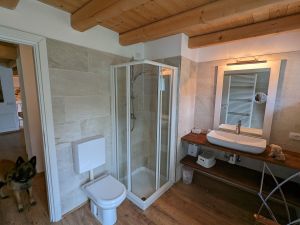 Ferienhaus Villa NINI mit eingezäunten GArten und privatem Swimmingpool Hunde willkommen - Bild 12: Villa Nini mit eingez. Garten, Pool am Ledrosee für Urlaub mit dem Hund