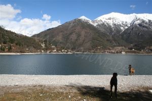 Bild 17: hundefreundliche Fewo Nina mit eigenem eingez. Garten+Pool am Ledrosee