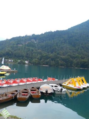 Bild 14: hundefreundliche Fewo Nina mit eigenem eingez. Garten+Pool am Ledrosee