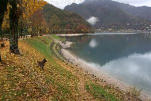 Bild 15: hundefreundliche Fewo Nina mit eigenem eingez. Garten+Pool am Ledrosee