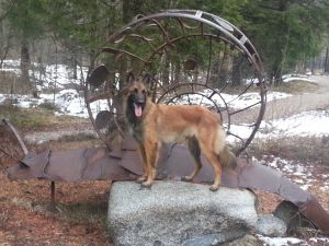 Bild 19: hundefreundliche Fewo Nina mit eigenem eingez. Garten+Pool am Ledrosee