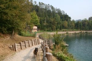 Bild 16: hundefreundliche Fewo Nina mit eigenem eingez. Garten+Pool am Ledrosee
