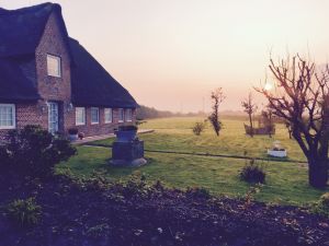 Bild 5: Ferienhaus mit Wohnung im Dachgeschoss - Reet-Dach-Haus f. 4 Personen