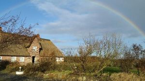 Bild 1: Ferienhaus mit Wohnung im Dachgeschoss - Reet-Dach-Haus f. 4 Personen