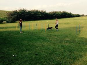 Bild 9: Ferienhaus m.kleiner Wohnung im Dachgeschoss, am Deich für 2 Personen