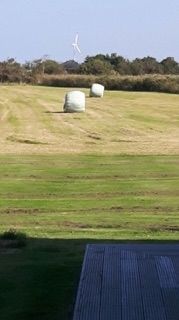 Bild 8: Ferienhaus m.kleiner Wohnung im Dachgeschoss, am Deich für 2 Personen