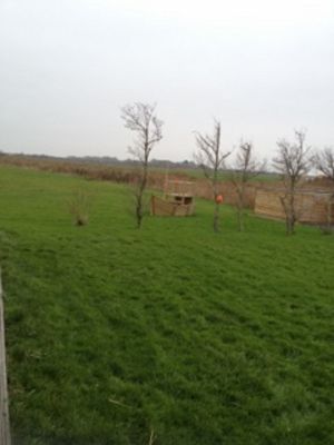 Bild 11: Ferienhaus m.kleiner Wohnung im Dachgeschoss, am Deich für 2 Personen