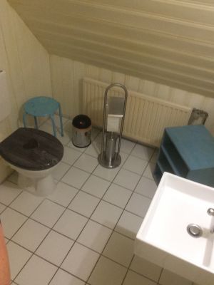 klein aber fein - Bild 17: Ferienhaus m.kleiner Wohnung im Dachgeschoss, am Deich für 2 Personen