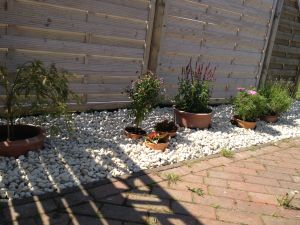 Bild 10: Ferienhaus m.kleiner Wohnung im Dachgeschoss, am Deich für 2 Personen