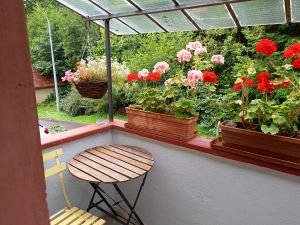 Bild 17: Haus Paulette am Ortsrand + eingez.Garten im Elsaß für Urlaub mit dem Hund