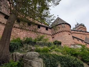 empfehlenswertes Ausflugsziel - Bild 14: Haus Paulette am Ortsrand + eingez.Garten im Elsaß für Urlaub mit dem Hund