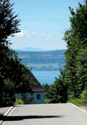 In nur 20 Minuten sind sie an den See gelaufen - Bild 2: Landhaus Pension Elisabeth in Meersburg - umgeben von Wein und Obstbäumen
