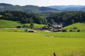 Bild 28: 4 Sterne Ferienwohnung Waldblick im Sauerland