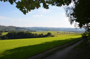 Bild 29: 4 Sterne Ferienwohnung Waldblick im Sauerland