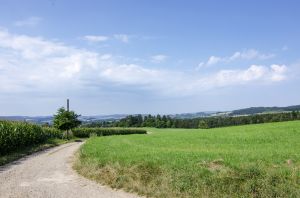 Bild 31: 4 Sterne Ferienwohnung Waldblick im Sauerland
