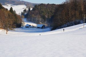 Bild 25: 4 Sterne Ferienwohnung Waldblick im Sauerland