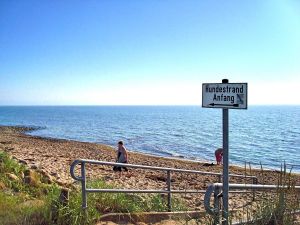 Bild 12: Häuschen "Sunshine Cottage" für max. 3 Pers. - Ostsee mit Hund - strandnah