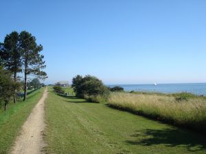Bild 16: Häuschen "Sunshine Cottage" für max. 3 Pers. - Ostsee mit Hund - strandnah