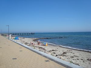Bild 11: Häuschen "Sunshine Cottage" für max. 3 Pers. - Ostsee mit Hund - strandnah