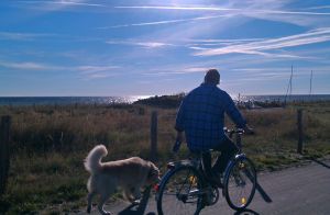 über den gut ausgebauten Fuß- und Fahrradweg nach Dahme - immer an der Ostsee entlang - Bild 15: Häuschen "Sunshine Cottage" für max. 3 Pers. - Ostsee mit Hund - strandnah